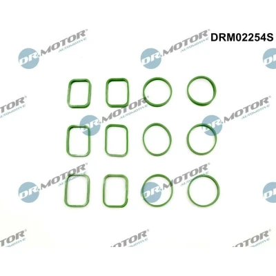 Bilde av DR.MOTOR AUTOMOTIVE DRM02254S Tetningssett, innsugningsmanifold AUDI: A6 C7 Avant, Q7, A7 Sportback