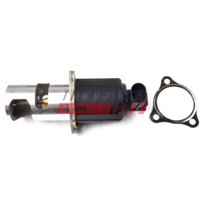 Bilde av EGR Ventil FAST FT60210
