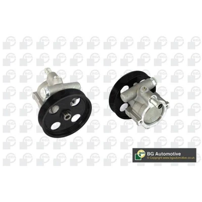 Bilde av Hydraulikkpumpe, styring, renault, 491100699R, 7700419117, 7700420305A, 7700431283, 7700431286, 7700875707, 8200112299, 8200113599, 8200