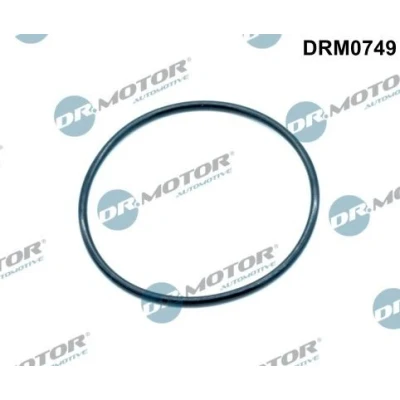 Bilde av DR.MOTOR AUTOMOTIVE DRM0749 Innsugspakning AGR ventil på manifold