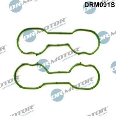 Bilde av DR.MOTOR AUTOMOTIVE DRM091S Tetningssett, innsugningsmanifold FORD: Focus 2 Kombi