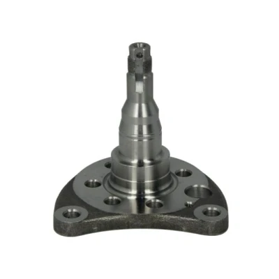 Bilde av BTA H5W007BTA Styrespindel venstre bakaksel VOLKSWAGEN: GOLF 2, Polo III Hatchback, 3