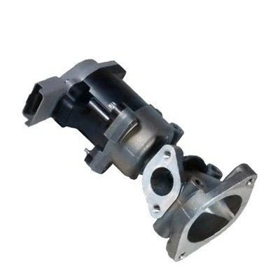 Bilde av MAGNETI MARELLI 571822112034 EGR Ventil LAND ROVER: Discovery 3, Range Rover Sport, 4