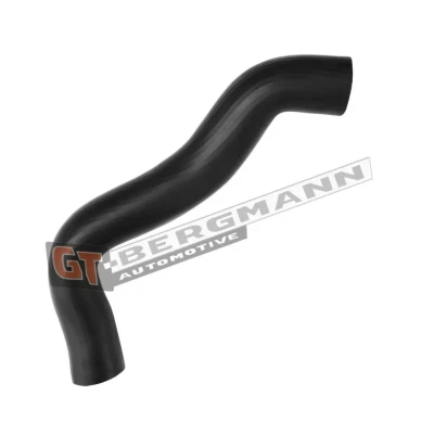 Bilde av GT BERGMANN GT52 541 Ladeluftslange gummi med tekstilforsterker FIAT: Ducato III Van