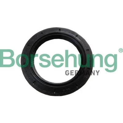 Bilde av Borsehung B18791 Pakninger VOLKSWAGEN: Golf 6, Passat B6 Variant