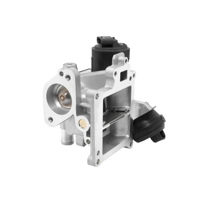 Bilde av EGR Ventil WAHLER 710488D0