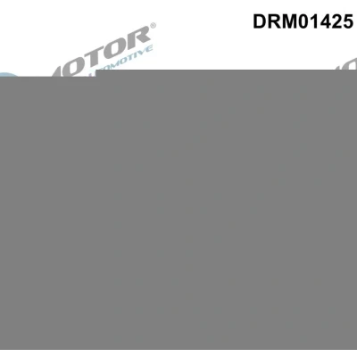 Bilde av DR.MOTOR AUTOMOTIVE DRM01425 Tetning, eksosrør avgassrør på avgassturbolader LAND ROVER: Range Rover Sport