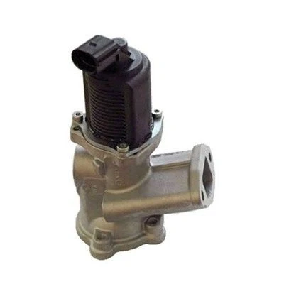 Bilde av MAGNETI MARELLI 571822112002 EGR Ventil