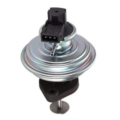 Bilde av MAGNETI MARELLI 571822112088 EGR Ventil BMW: 5 Touring, X3, Sedan