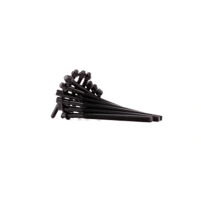 Bilde av REINZ 14 32314 01 Sylindertoppskrue utvendig torx BMW: 1 Hatchback, X3, 3 Touring
