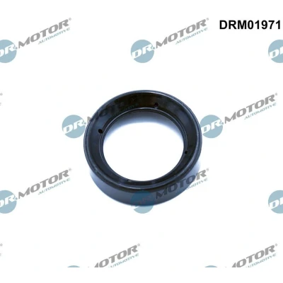 Bilde av DR.MOTOR AUTOMOTIVE DRM01971 Toppdekselpakning FORD: FOCUS 3, 3 Turnier, Transit Connect V408 Van