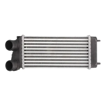Bilde av THERMOTEC DAC004TT Ladeluftkjøler 300 150 88