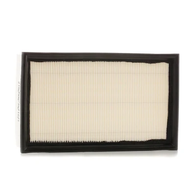 Bilde av FILTRON AP 074/6 Luftfilter 57 171,5 281,5 Filterinnsats VOLVO: V50, C30, S40 II, FORD: Focus 2, 2 Kombi, C Max