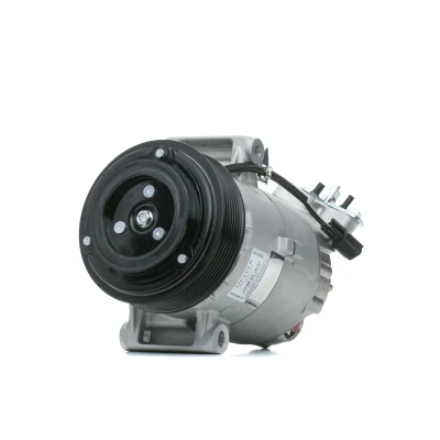 Bilde av DELPHI TSP0155928 Kompressor 6CVC13 PAG 46 med kompressorlje NISSAN: Qashqai / Qashqai+2 I