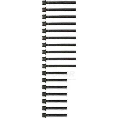 Bilde av REINZ 14 32174 02 Sylindertoppskrue innvendig polygonhode VOLKSWAGEN: Golf 4, Sharan I, 4 Variant