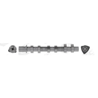 Bilde av Kamaksel, Eksosside dacia, nissan, renault OE 13020 00Q0P, 130209252R