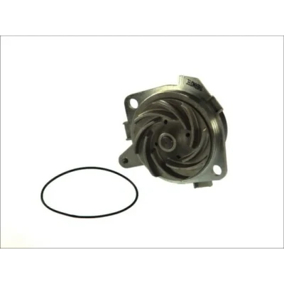 Bilde av THERMOTEC D1D018TT Vannpumpe med tetning mekanisk 65,5 FIAT: Stilo Hatchback