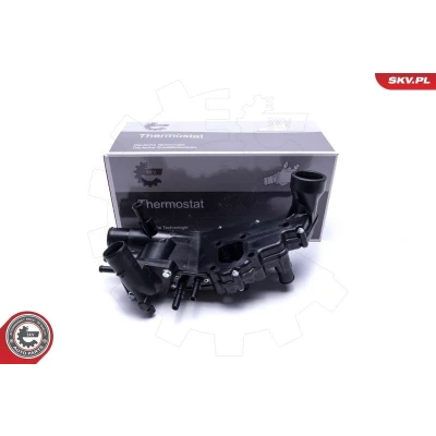 Bilde av Termostat, kjølemiddel, citroën,peugeot, 1336R8, 1336S4, 1336W7