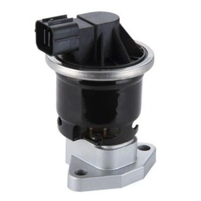 Bilde av MAGNETI MARELLI 571822112115 EGR Ventil