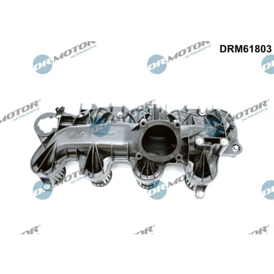 Bilde av DR.MOTOR AUTOMOTIVE DRM61803 Innsugningsmanifold med tetning FORD: Galaxy Mk2 MPV
