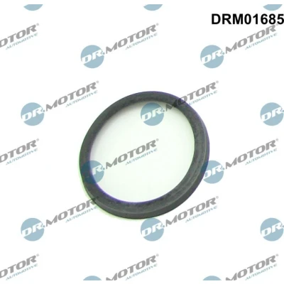 Bilde av DR.MOTOR AUTOMOTIVE DRM01685 Pakninger BMW: 7, X3, 3 Sedan