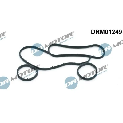 Bilde av DR.MOTOR AUTOMOTIVE DRM01249 Pakninger MERCEDES BENZ: S Klasse Sedan, ML Klasse, E Sedan