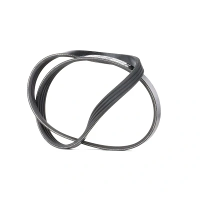 Bilde av BOSCH 1 987 946 127 Kileribberem 917 4 Elastic BMW: X3, 3 Touring, Sedan