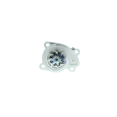 Bilde av AISIN WPN 099V Vannpumpe RENAULT: MEGANE 3, Kangoo II Express, SCENIC NISSAN: NV200 / Evalia Minibuss, Qashqai Qashqai+2 I, Note I
