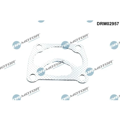 Bilde av DR.MOTOR AUTOMOTIVE DRM02957 Pakninger