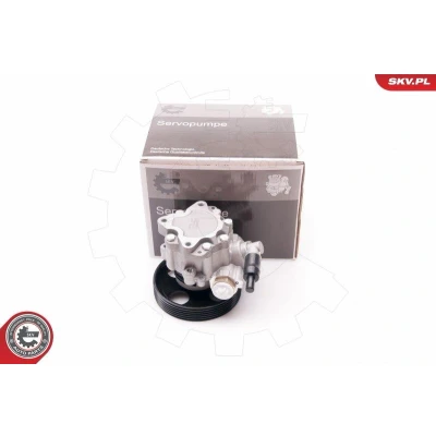 Bilde av ESEN SKV 10SKV197 Hydraulikkpumpe PEUGEOT: 406 Sedan