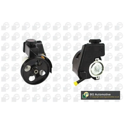 Bilde av Hydraulikkpumpe, styring, citroën,peugeot, 26079836, 4007.3C, 4007.3E, 4007.AR, 4007.JL, 4007.KX, 4007.KZ, 4007.LA, 4007.LC, 4007.LJ, 40