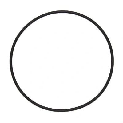 Bilde av O ring ELRING 126.010
