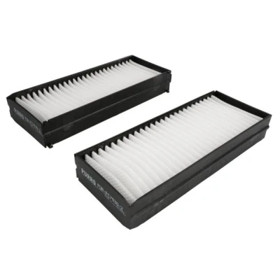 Bilde av PURRO PUR PC7030 2 Kupéfilter pollenfilter 258 100 38 HYUNDAI: Santa Fe 2, I, KIA: Magentis I
