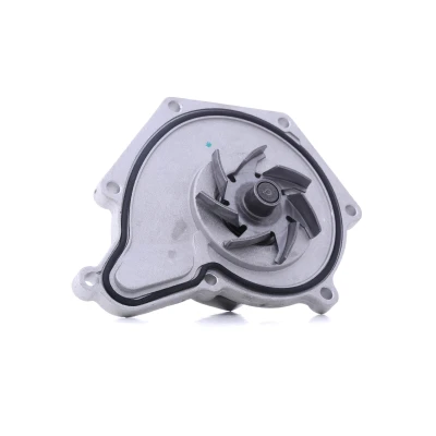 Bilde av INA 538 0409 10 Vannpumpe for vifteremdrift AUDI: A4 B8 Avant, Sedan, A6 C6 Allroad, PORSCHE: Cayenne, VOLKSWAGEN: Touareg I