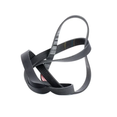 Bilde av GATES 6PK1565 Kileribberem 1565 6 Polyester, EPDM (etyl propylen dien gummi) FleetRunner Micro V CITROËN: Berlingo / First I Van