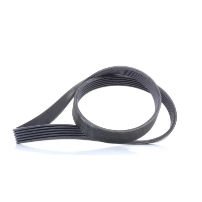 Bilde av CONTITECH 6PK1019 ELAST Kileribberem 1019 6 FORD: FIESTA 5, FOCUS 3 Turnier,