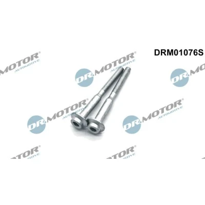 Bilde av DR.MOTOR AUTOMOTIVE DRM01076S skrue, innsprøytningsdyseholder VOLKSWAGEN: Golf 6, Multivan 5 (7HM, Caddy 3, SKODA: Octavia 2 Combi, AUDI: A3 Sportback