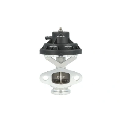 Bilde av NRF 48665 EGR Ventil med tetning VOLKSWAGEN: Caddy 3, Polo IV Hatchback, Golf 4, SKODA: Octavia 1 Combi, Fabia I Hatchback