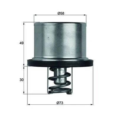 Bilde av MAHLE ORIGINAL TX 37 79 Termostat 58 med tetning BMW: 5 Sedan, Touring