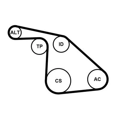 Bilde av CONTITECH CT1091 Registerreim 116 25,4 FORD: MONDEO 4 Turnier, Focus 2, Galaxy Mk2 MPV, PEUGEOT: 508 I SW, 807, 307 Hatchback, VOLVO: V50