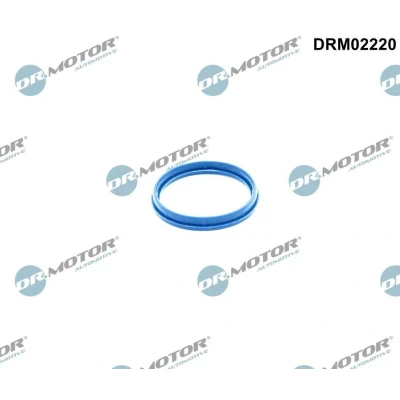 Bilde av DR.MOTOR AUTOMOTIVE DRM02220 Tetning, innsugningsmanifold hus FORD: MONDEO 3 Stufenheck