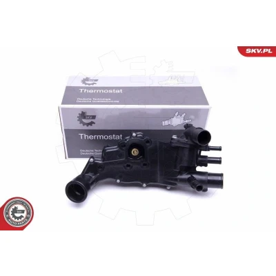 Bilde av Termostat, kjølemiddel, citroën,fiat,hyundai,lancia,peugeot,suzuki,toyota, 1336W7, 1336W7SK, 133823, 138823, 1757086CA0, 2551129000, 961