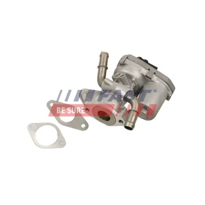 Bilde av FAST FT60222 EGR Ventil elektrisk med tetning FORD: Galaxy Mk2 MPV, S Max Mk1, MONDEO 4 Turnier, CITROËN: Jumpy II MPV