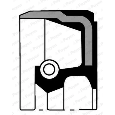 Bilde av PAYEN NA5104 Veivaksel Tetningsring PTFE (rolytetrafluorethylen) BMW: 3 Touring, X3, 1 Hatchback, OPEL: Omega B Caravan, Sedan
