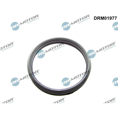 Bilde av DR.MOTOR AUTOMOTIVE DRM01977 Tetningsring, laseluftslange BMW: X5, 5 Touring, Sedan