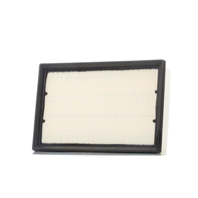 Bilde av CHAMPION CAF100867P Luftfilter 58 185 274 Filterinnsats LAND ROVER: Freelander 2 SUV