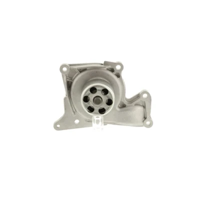 Bilde av AISIN WE RE05 Vannpumpe RENAULT: MEGANE 3, Kangoo II Express, SCENIC NISSAN: NV200 / Evalia Minibuss, Qashqai Qashqai+2 I, Note I