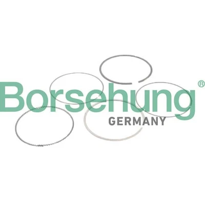 Bilde av Stempelringsett Borsehung B10373