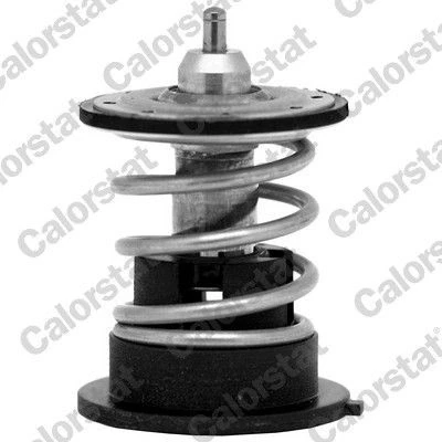 Bilde av CALORSTAT by Vernet TH7287.87 Termostat 87 BMW: 3 Sedan, X5, Coupé