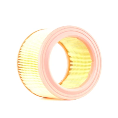Bilde av AUTOMEGA 180029810 Luftfilter 123 166 Filterinnsats PEUGEOT: Partner I Van, Combispace, 306 Hatchback, CITROËN: Berlingo / First